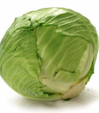 cabbage-cabbage