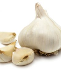 garlics1