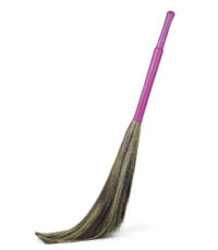 grass-broom