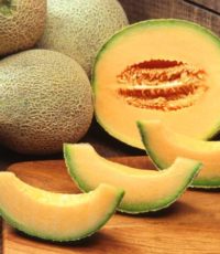13musk-melon