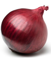 Red onion on white. This file includes clipping path.