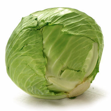 cabbage-cabbage