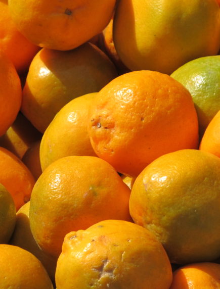 kamala-orange