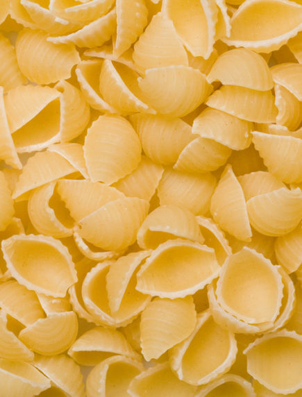 shell-pasta