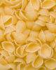 shell-pasta