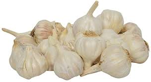 garlic-small