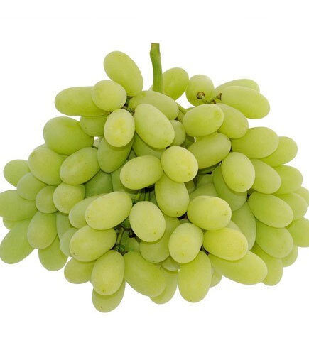 green-seedless-grapes-500x500
